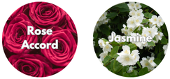 Diptyque Eau Rose EDP - Heart Notes